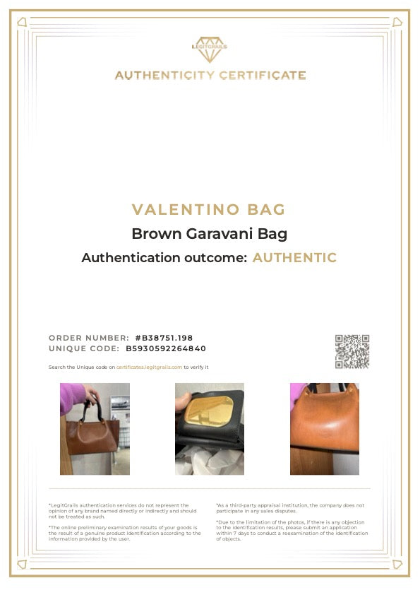 Valentino Brown Garavani Bag