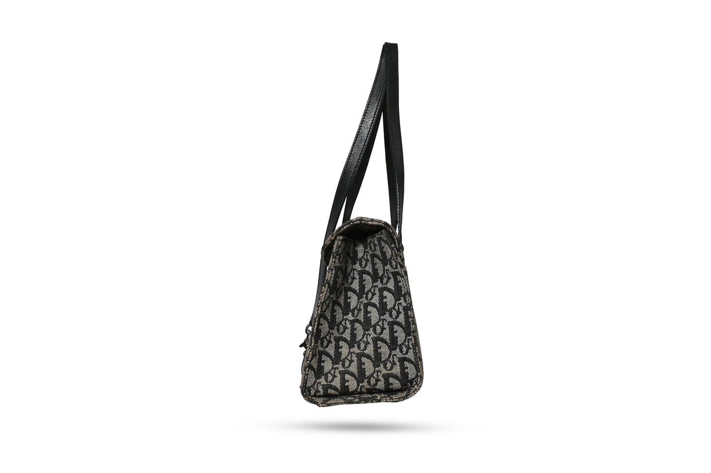 Dior Trotter Canvas Saddle Handbag