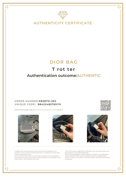 Dior Trotter Messenger Bag