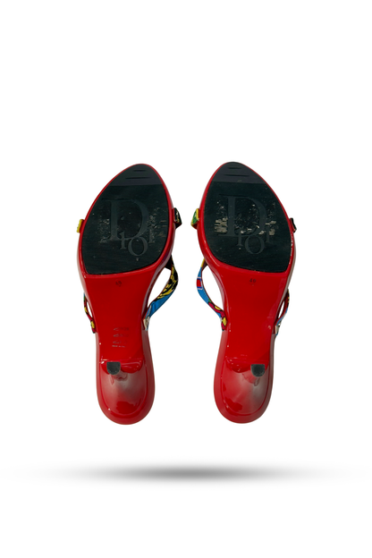 Christian Dior Rasta Print Heels
