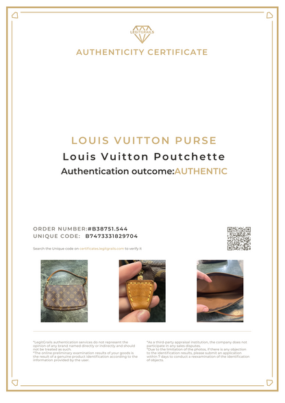 Louis Vuitton Pochette 15 02