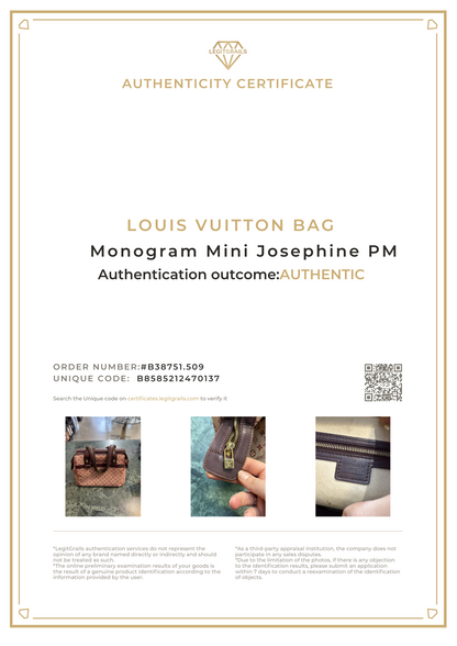Louis Vuitton Monogram Mini Josephine PM