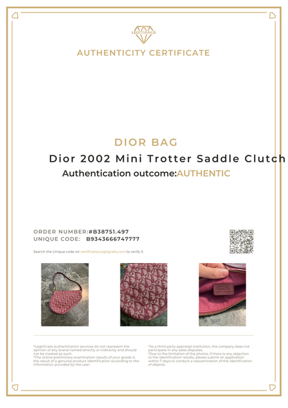 Dior Mini Trotter Saddle Clutch