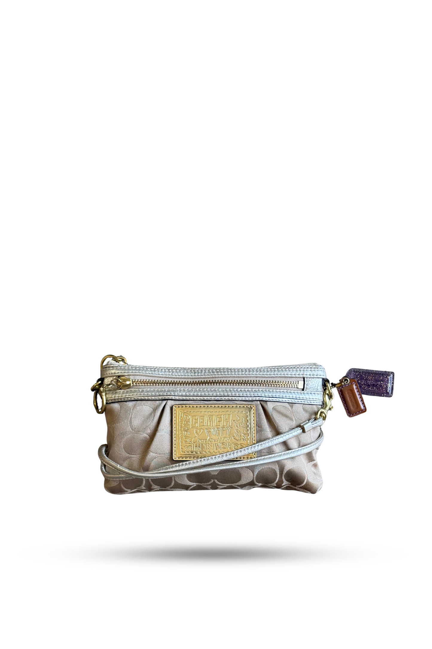 Coach Mini Crossbody Bag