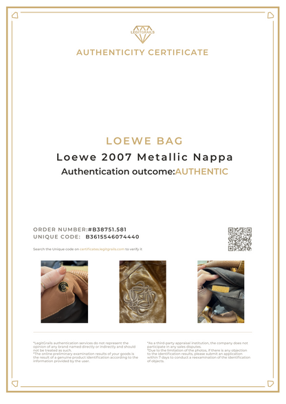 Loewe 2007 Metallic Nappa