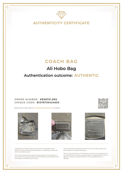 Coach Ali Hobo Bag