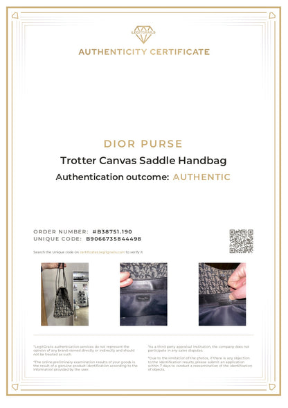 Dior Trotter Canvas Saddle Handbag