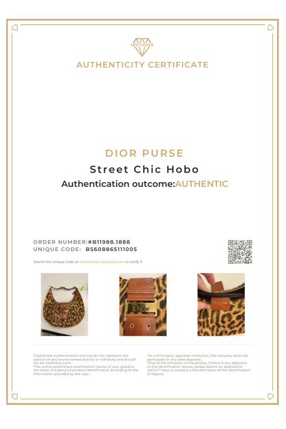 Dior Pony Hair Leopard Print Street Chic Hobo