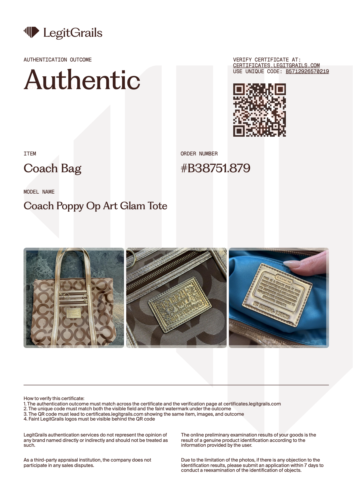 Coach Poppy Op Art Glam Tote