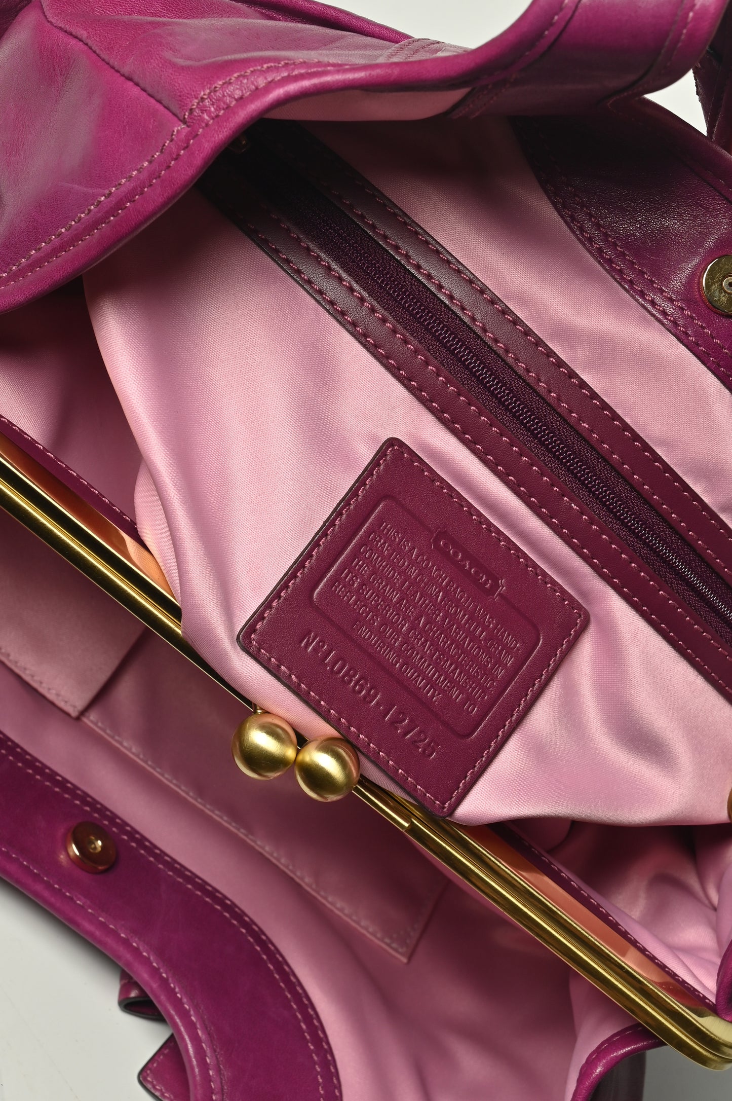 Coach Ergo Pleated Satchel