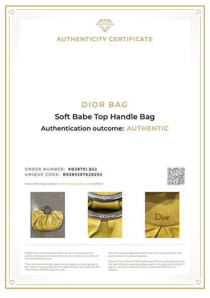 Dior Soft Babe Top Handle Bag