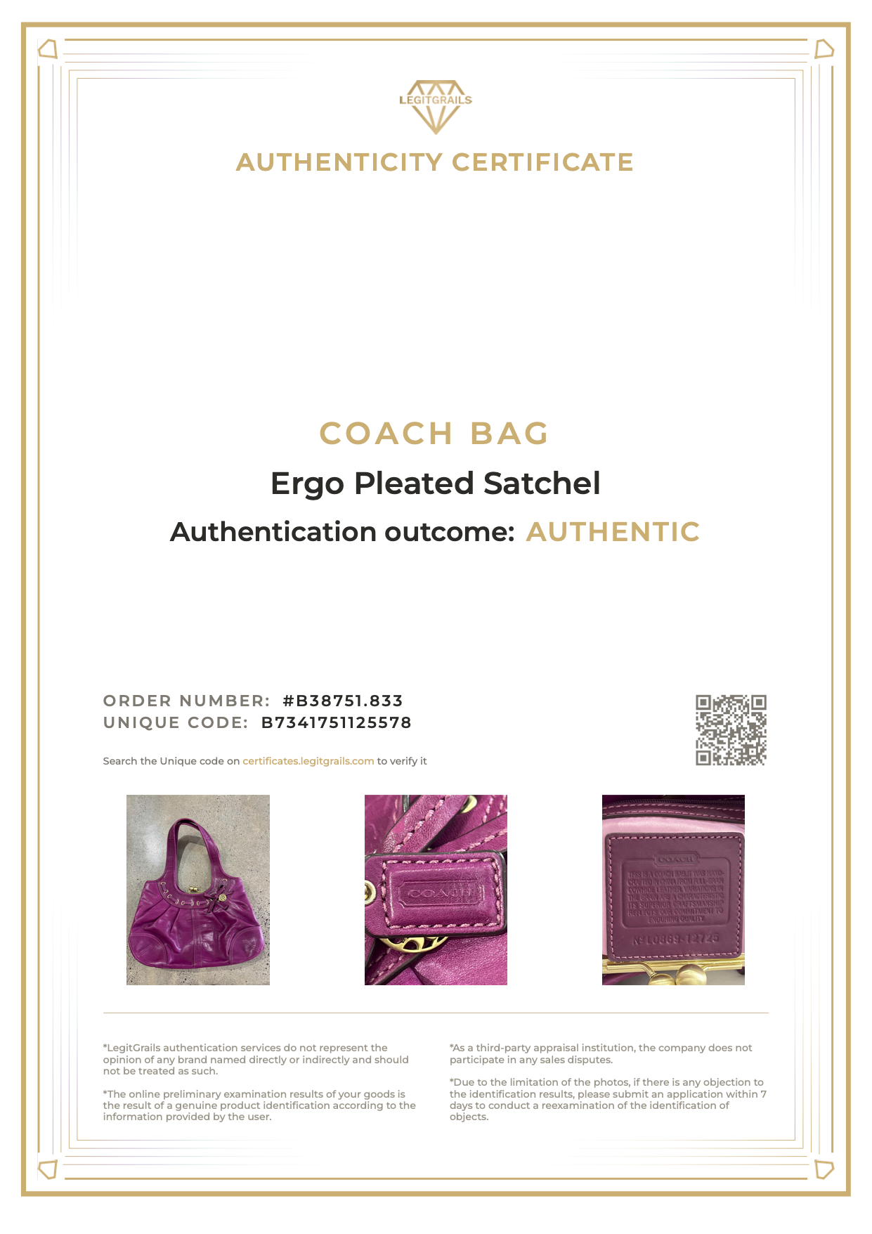 Coach Ergo Pleated Satchel