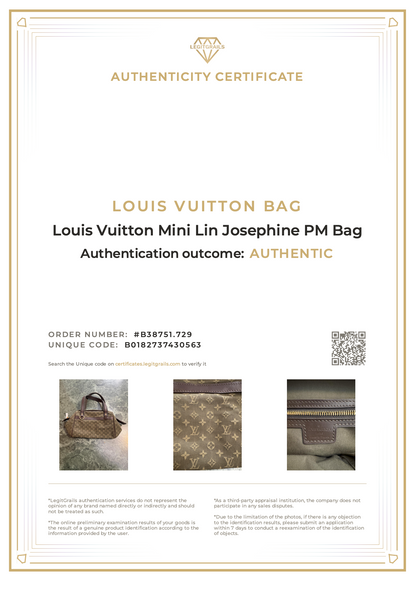 Louis Vuitton Mini Lin Josephine PM Bag