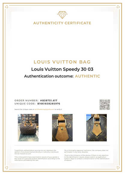 Louis Vuitton Speedy 30 03