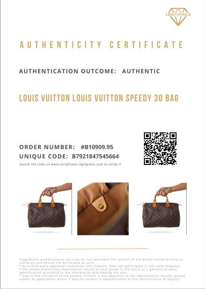 Louis Vuitton Speedy 30 Bag