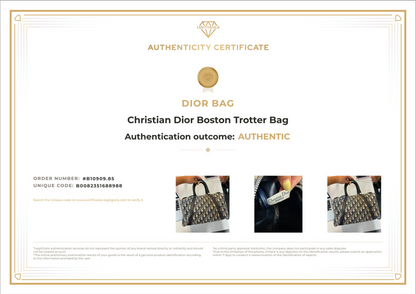 Christian Dior Boston Trotter Bag