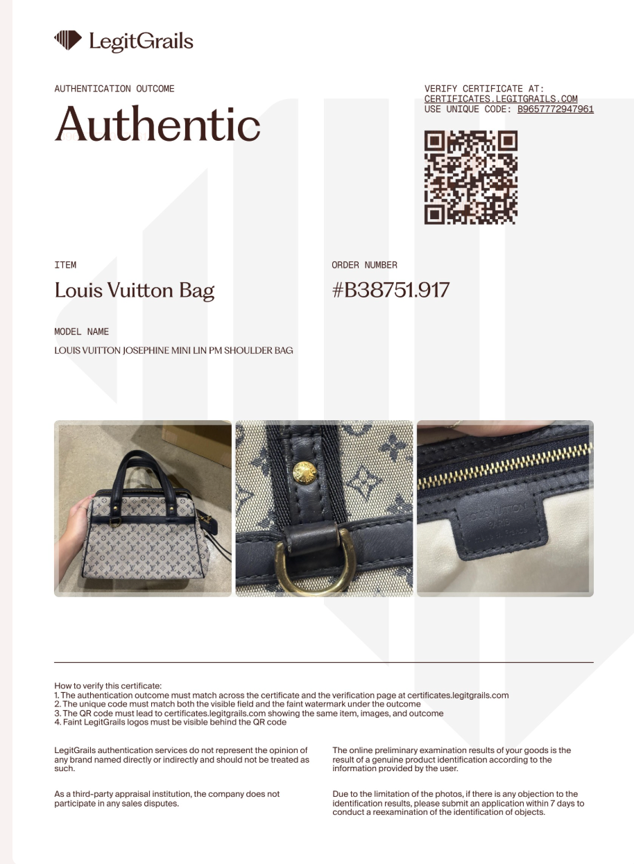 Louis Vuitton Josephine Mini Lin PM